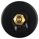 Термо-манометр аксиального подключения 1/4" c переходником на 1/2'',  измерение до 10 бар,  до +120°С_4